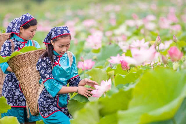 「仙吕」后庭花