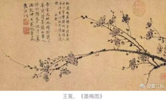 《儒林外史》中的王冕，真的擅长画荷花么？