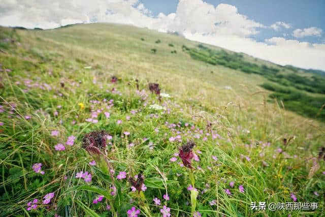 一座非凡的山脉 必然有着不同寻常的身世 游历终南山秦楚古道