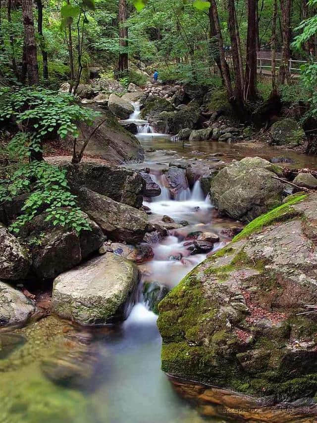 秦岭行第五辑——终南山