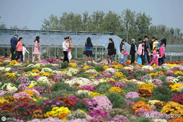 重阳节的来历与六大传统习俗