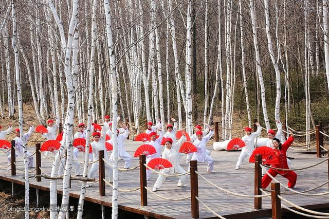 今夏伊春桃源湖景区为什么火了？南雁北飞，组团旅居避暑康养