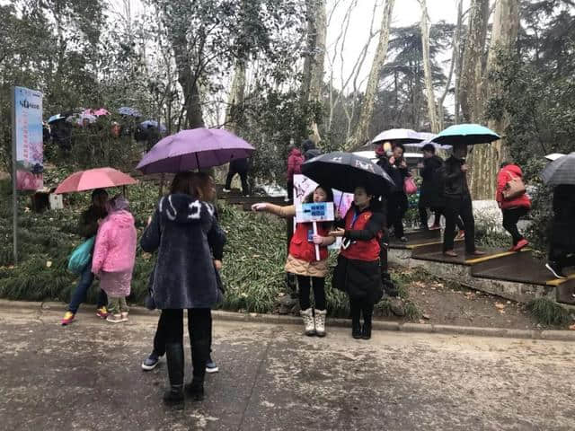 春节游钟山：晴雨都浪漫，感动在身旁