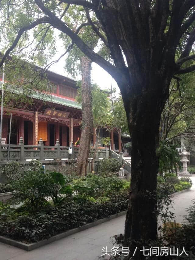 广东韶关南华寺：本来无一物，古刹中的世外桃源！