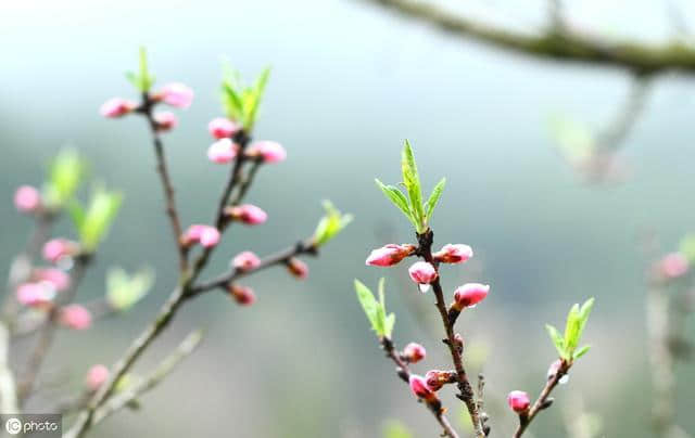 白居易写《后宫词》，借机表达人生的绝望，却被人说此诗肤浅