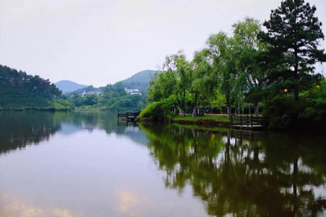 九九重阳节，九首经典重阳节古诗词