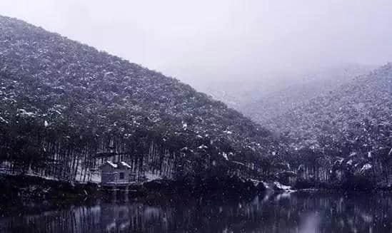 『诗词赏析』：山窗寒夜时，听雪洒竹林《名山胜景美雪图请珍藏》