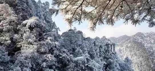 『诗词赏析』：山窗寒夜时，听雪洒竹林《名山胜景美雪图请珍藏》