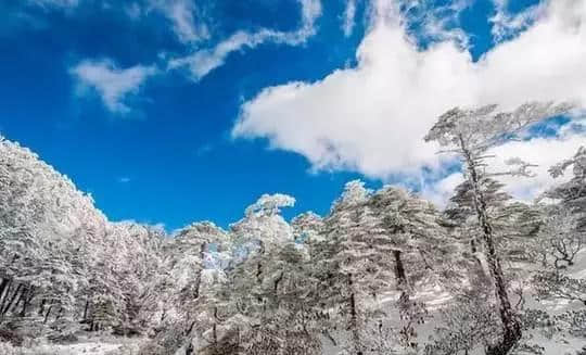 『诗词赏析』：山窗寒夜时，听雪洒竹林《名山胜景美雪图请珍藏》