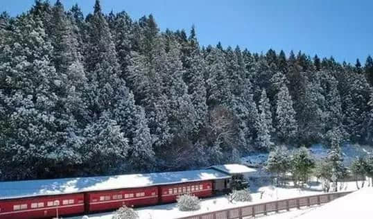 『诗词赏析』：山窗寒夜时，听雪洒竹林《名山胜景美雪图请珍藏》