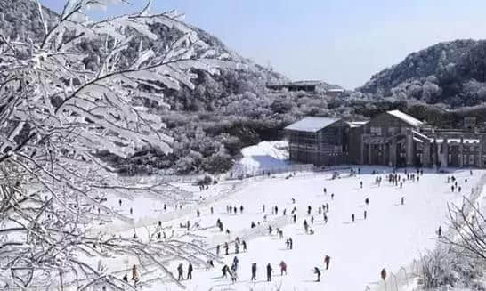 『诗词赏析』：山窗寒夜时，听雪洒竹林《名山胜景美雪图请珍藏》