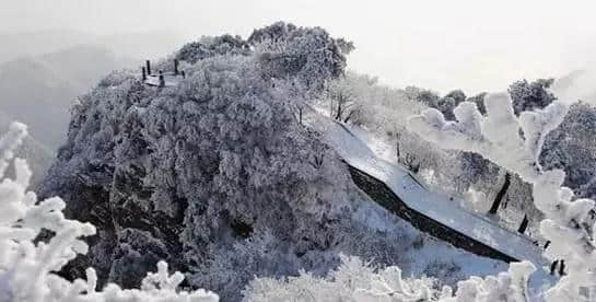 『诗词赏析』：山窗寒夜时，听雪洒竹林《名山胜景美雪图请珍藏》