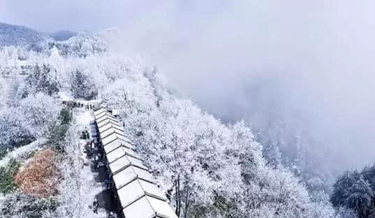 『诗词赏析』：山窗寒夜时，听雪洒竹林《名山胜景美雪图请珍藏》