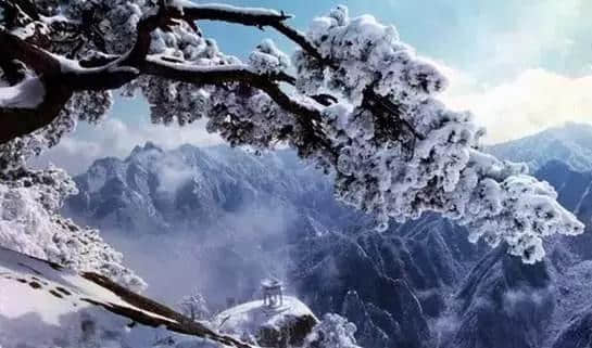 『诗词赏析』：山窗寒夜时，听雪洒竹林《名山胜景美雪图请珍藏》