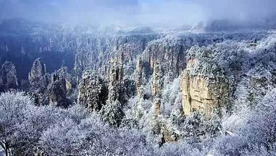 『诗词赏析』：山窗寒夜时，听雪洒竹林《名山胜景美雪图请珍藏》