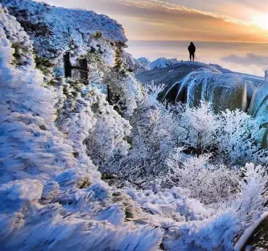 『诗词赏析』：山窗寒夜时，听雪洒竹林《名山胜景美雪图请珍藏》