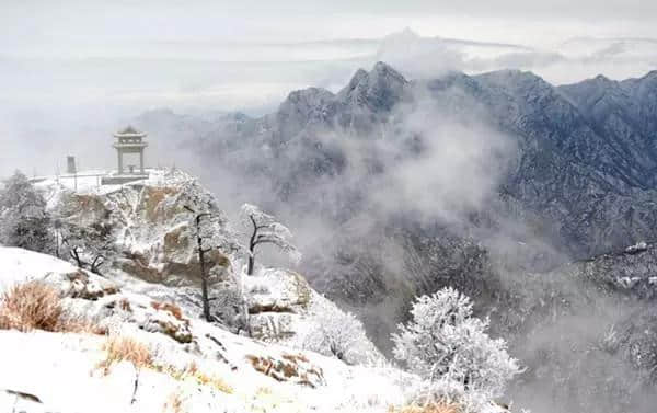 『诗词赏析』：山窗寒夜时，听雪洒竹林《名山胜景美雪图请珍藏》