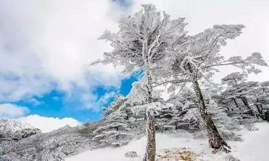 『诗词赏析』：山窗寒夜时，听雪洒竹林《名山胜景美雪图请珍藏》