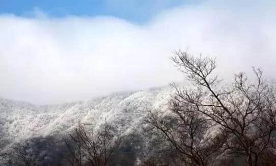 『诗词赏析』：山窗寒夜时，听雪洒竹林《名山胜景美雪图请珍藏》