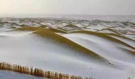 『诗词赏析』：山窗寒夜时，听雪洒竹林《名山胜景美雪图请珍藏》