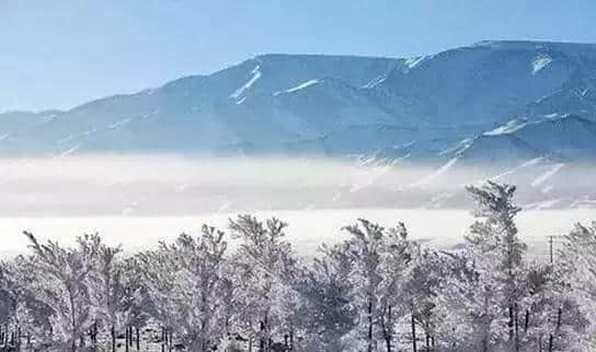 『诗词赏析』：山窗寒夜时，听雪洒竹林《名山胜景美雪图请珍藏》