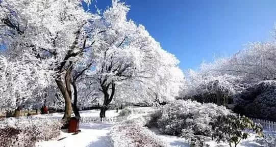 『诗词赏析』：山窗寒夜时，听雪洒竹林《名山胜景美雪图请珍藏》