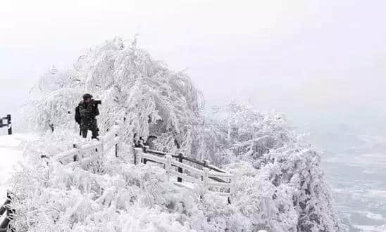 『诗词赏析』：山窗寒夜时，听雪洒竹林《名山胜景美雪图请珍藏》