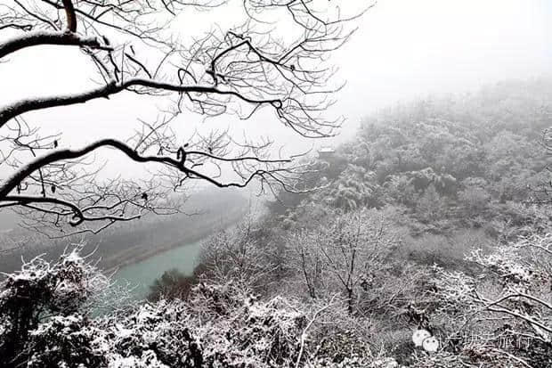 『诗词赏析』：山窗寒夜时，听雪洒竹林《名山胜景美雪图请珍藏》