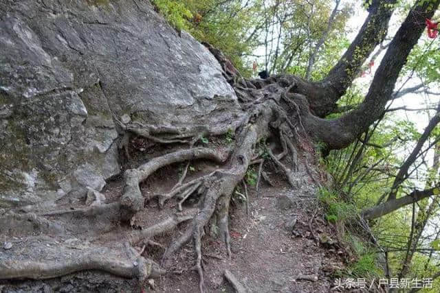 周至九峰千户观音山，人间仙境，爬山详细攻略