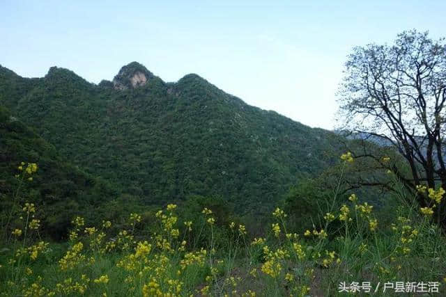 周至九峰千户观音山，人间仙境，爬山详细攻略