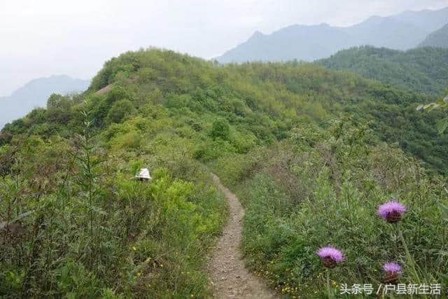 周至九峰千户观音山，人间仙境，爬山详细攻略