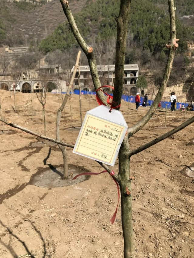 近10万游客共度中和节，热情点燃整座云丘山