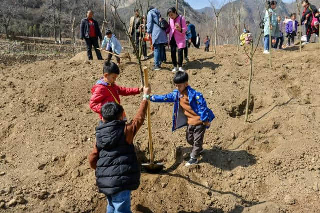 近10万游客共度中和节，热情点燃整座云丘山