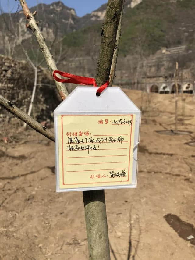 近10万游客共度中和节，热情点燃整座云丘山