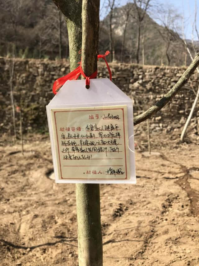 近10万游客共度中和节，热情点燃整座云丘山