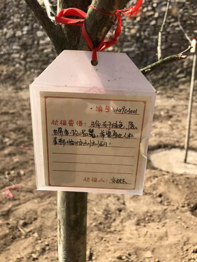 近10万游客共度中和节，热情点燃整座云丘山