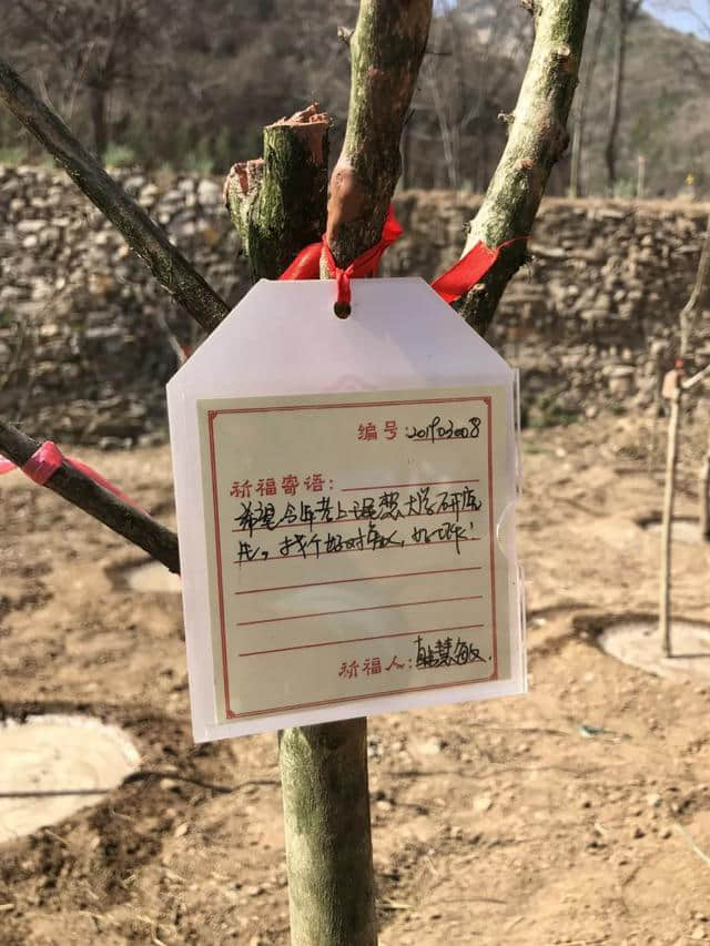 近10万游客共度中和节，热情点燃整座云丘山