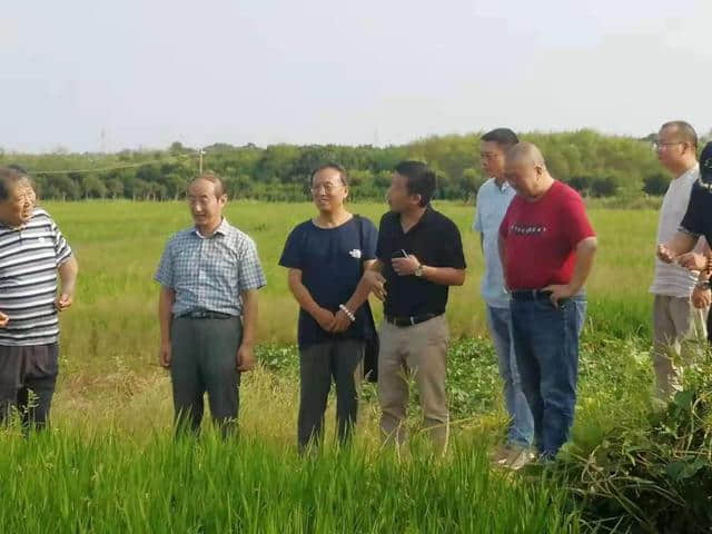 寻孝之行：《野谷》剧组走进孝感探寻“红毛毡”背后的故事