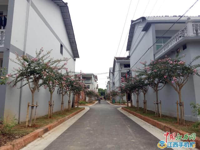 余江区蓝田村宋家：才子村打造“红雨蓝田”美丽新画卷