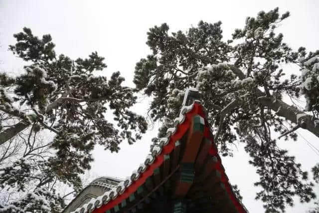 「把承德讲给世界听避暑山庄及周围寺庙寻踪」系列报道之十七——魂牵帝王梦 谛听万壑松风