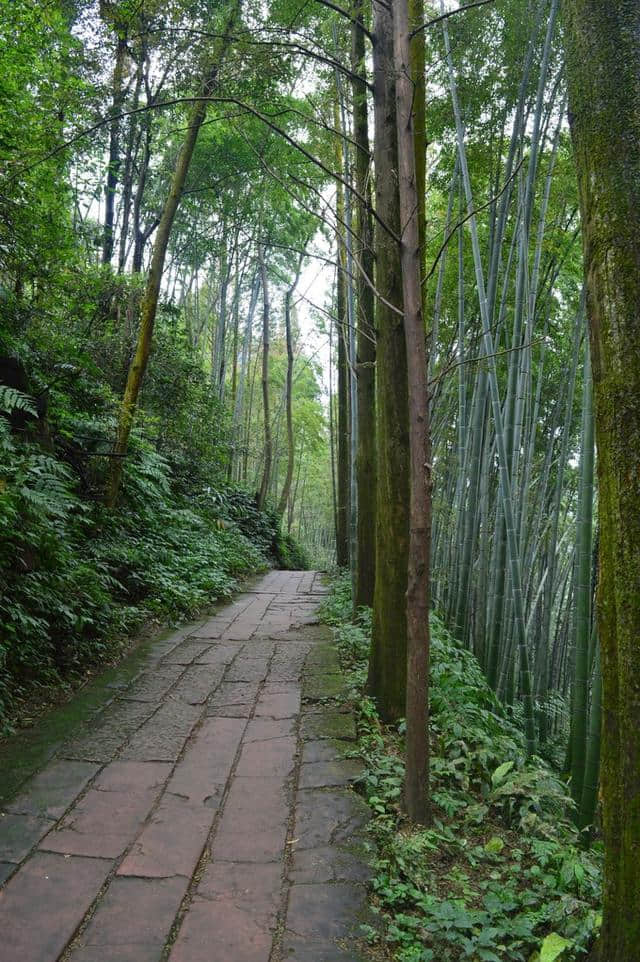 国庆不出远门，来青神中岩寺寻找初恋的味道~