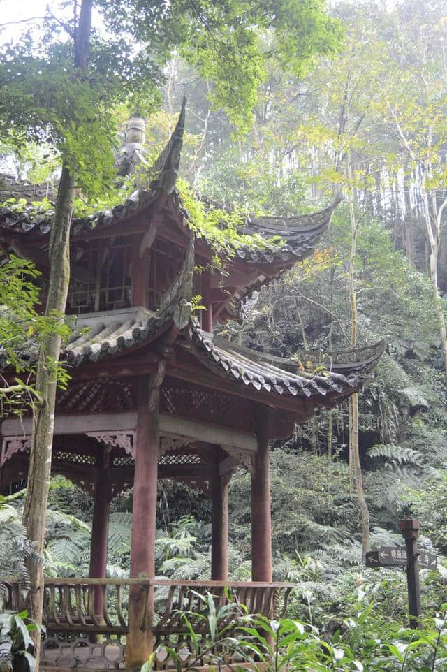 国庆不出远门，来青神中岩寺寻找初恋的味道~