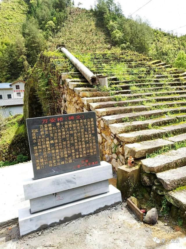 清明，龙泉这个家族齐聚万安桥，用这样的方式缅怀祖先······