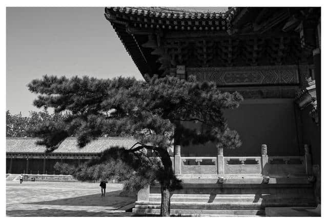 南朝四百八十寺，多少楼台烟雨中-太庙-静休