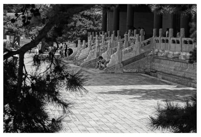 南朝四百八十寺，多少楼台烟雨中-太庙-静休