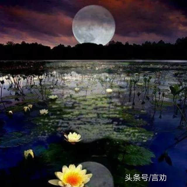 中秋节更美的祝福(16圆月图值得收藏）