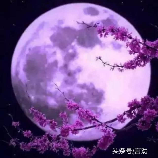 中秋节更美的祝福(16圆月图值得收藏）