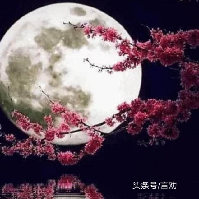 中秋节更美的祝福(16圆月图值得收藏）