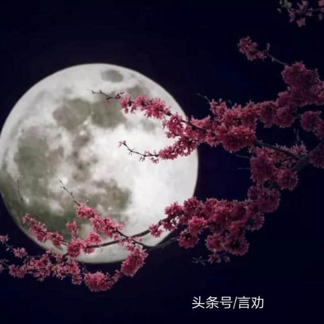 中秋节更美的祝福(16圆月图值得收藏）