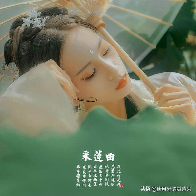 50首关于莲花的经典诗词，醉美了夏天，醉美了心情